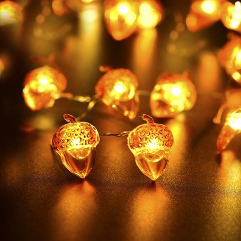 Guirlande lumineuse d'automne - 2 m - 20 LED - Guirlande lumineuse d'extérieur - Batterie - Gland d'automne - Lumière décorative pour Noël, mariage, fête d'anniversaire (1/5)