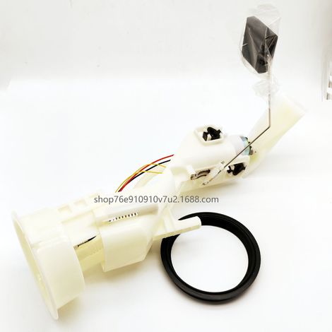 Pompe à Carburant Essence 16116755043 - Adaptable à BMW X5, E53 (1/4)