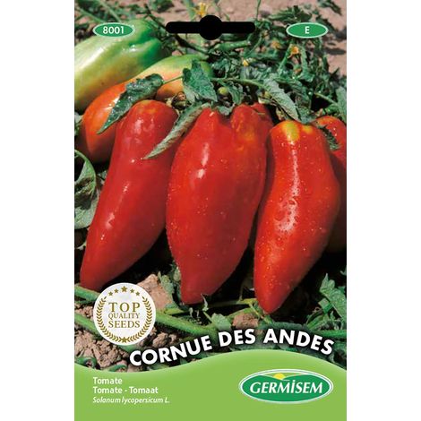 Cornue de Andes Graines de Tomate 0.2 g EC8001 Multicolore