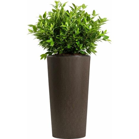 Urbanika Kaffee-Espresso-Blumentopf, H 57,1 x 29,5 cm (1/5)