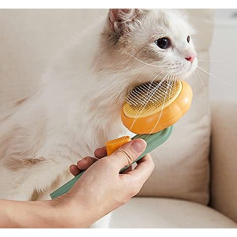 Brosse à poils pour chiens et chats, peigne à citrouille, peigne pour chats, brosse à poils d'animaux, épilateur, Un clic pour enlever les poils d'animaux de la brosse (1/5)