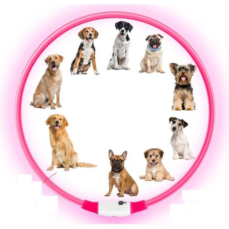 AUAUY Collier Lumineux LED pour Animaux, Rechargeable USB, Découpable, Imperméable, Réglable, pour Petits, Moyens et Grands Chat et Chien (Rose) (1/4)