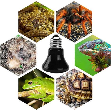 Lampe chauffante pour animaux de compagnie 75 W E27, émetteur infrarouge en céramique noire, 220-230 V (1/5)
