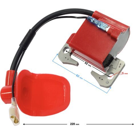 The red ignition coil is suited to the exceptional performance of a 50cc mini-bike. (1/2)