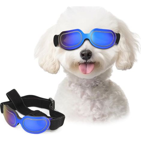 Gafas de sol para perros, protección UV para cachorros, adecuadas para perros pequeños, protección ocular a prueba de viento ideal para ciclismo al aire libre, diadema ajustable, azul claro (1/4)
