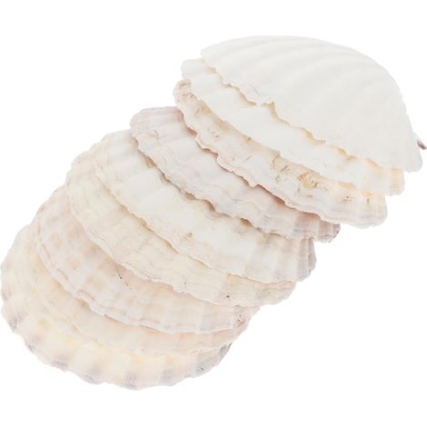 Lot de 10 Assiettes Naturelles en Coquille de Grande Taille Beige, Design Unique et Délicat, Plateau Alimentaire pour Petits Objets et Bijoux, pour Anniversaire et Décoration (1/5)