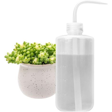 Arrosoir souple, bouteille de sécurité en plastique, convient aux plantes succulentes et aux bonsaïs, 500 ml.