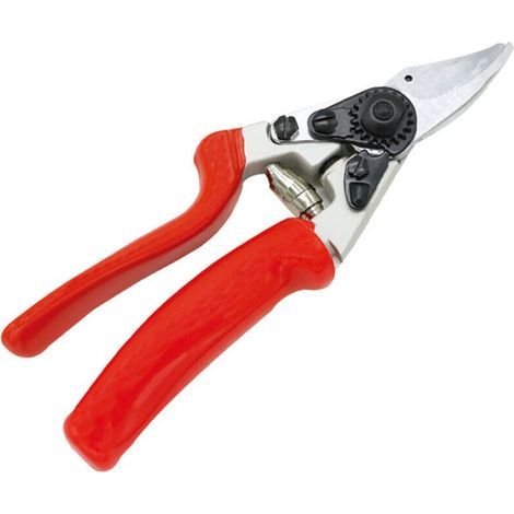 Sécateur de Jardin Revêtu Titane - Lames Premium en Acier SK5 Bypass - Pour Rosiers, Vignes, Bonsaïs