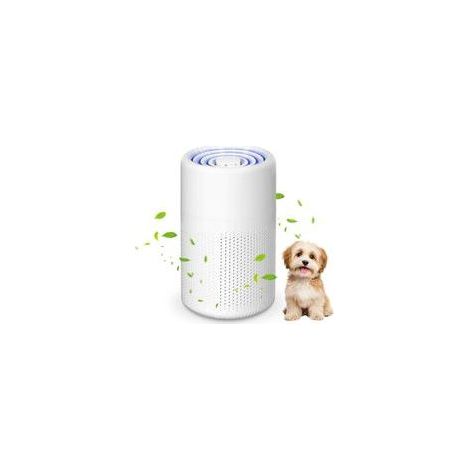 Purificateur d'air Chambre, H13 HEPA Purificateur éliminant de la poussière, de la fumée et des odeurs d'animaux, Air Purifier avec éponge parfumée, Air Purifier HEPA pour Maison Bureau (1/5)