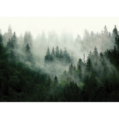 Papier peint Fôret de Sapins et brouillard - 375 x 270 cm (1/3)
