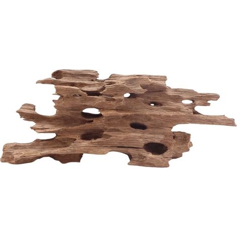 M Honey Comb Wurzel Nr.5179 Holz Deko Aquascaping