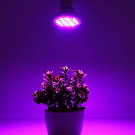 Bande lumineuse USB pour plantes, étanche, idéale pour les plantes d'intérieur, les serres et le jardinage (3 m) (1/4)