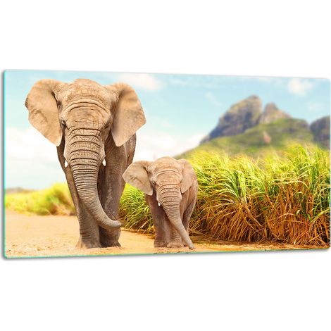 Tagliere della lastra di vetro 52x30 Elefante (1/5)