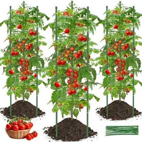 Tuteur Tomate, 3pcs Cage à Tomates Support 130cm Treillis Plante Grimpante Exterieur Obélisque pour Jardin, Piquets de Plantes Frimpantes, Légumes et Fleurs - (1/5)