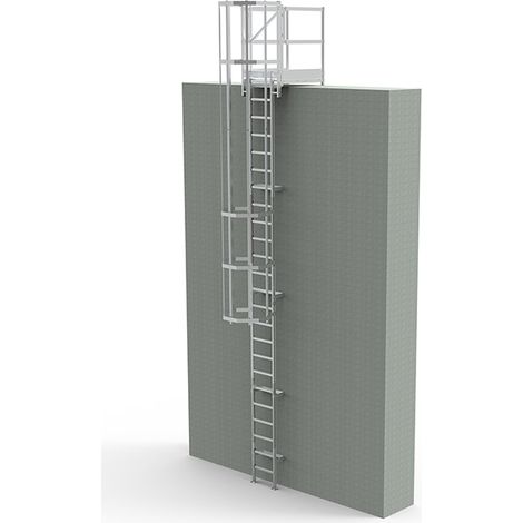 Steigleiter aus Stahl verzinkt - Steighöhe 4,61 bis 5,70m - CRINO-PF-AG-5