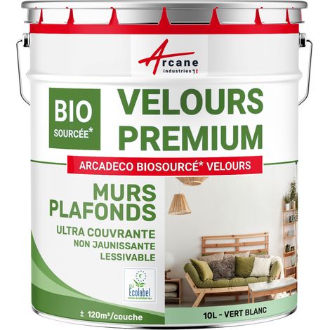 Peinture mur et plafond, satin, velours, biosourcée - 10 L (+ ou - 120m² par couche) Vert Blanc - RAL 6019 - ARCANE INDUSTRIES (1/5)