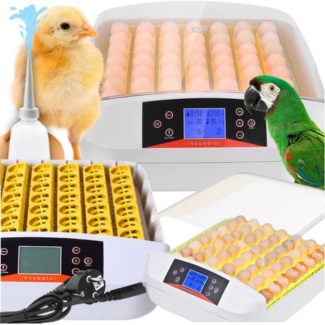 Incubateur automatique pour œufs 56 pièces – Retournement toutes les 2 heures – Ovoscope LED intégré – Alarme température et humidité