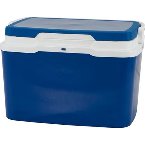 Camping Kühler 5 L blau mit kompaktem Design (1/4)