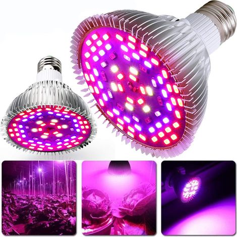 Lampe horticole LED 30W E27 40 LED à spectre complet pour la croissance des plantes d'intérieur (1/5)