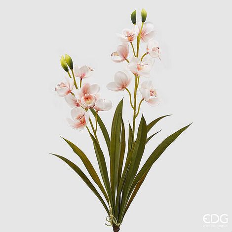 EDG Enzo De Gasperi Orchidea Cymbidium Real H 59 Cm Bianco Rosa