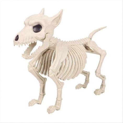 Halloween-Dekoration: Skeletthund – Bewegliche Skeletttiere (1/5)