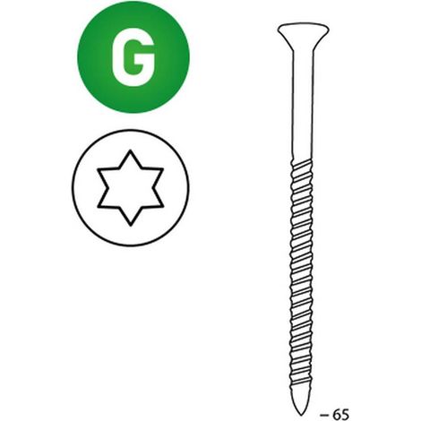 2 000 Vis Galvanisées Torx 16° (Tx) (Scrail) - 28/32x65 mm - D-Work