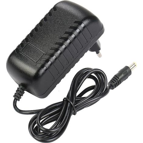 Chargeur 26 V 1 A, prise secteur, adaptateur secteur pour masseur domestique, prise UE (1/4)