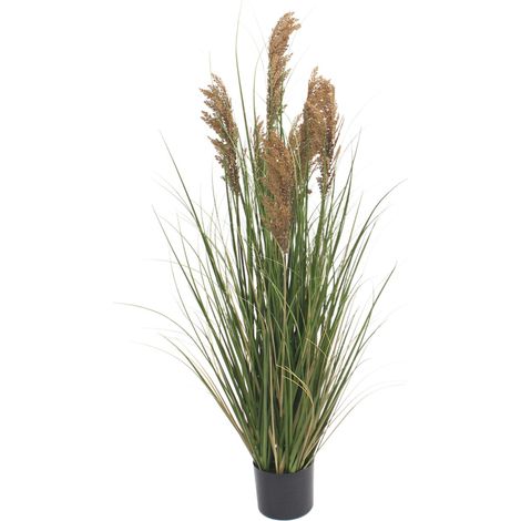 Pianta Artificiale Erba della Pampas Cortaderia Mobili Rebecca Ravok 120x70x70 PVC PE, Metallo, Cemento Verde Marrone