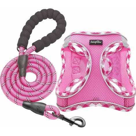 Harnais pour Chien avec Laisse Réglable et Confortable, Ensemble de Promenades pour Petits et Moyens Chiens, Harnais Respirant et Réfléchissant (1/5)