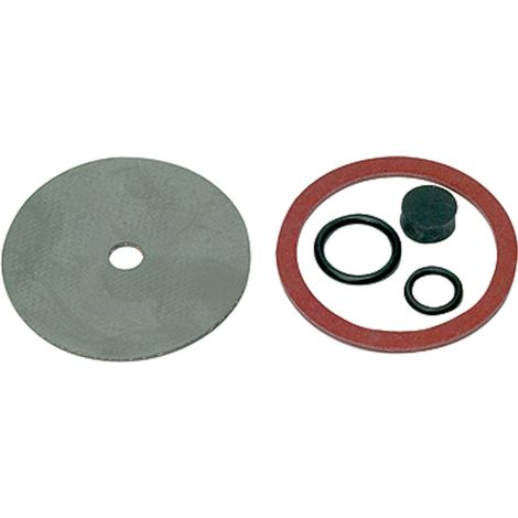 Riegler Verschleißteilesatz, für Druckregler DRV 200, G 1 1/4 (1/2)