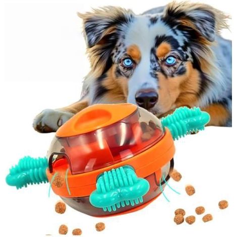 Jouet interactif pour chien rempli de friandises – Jeu de réflexion stimulant, prévient l'ennui, adieu les dégâts (1/5)