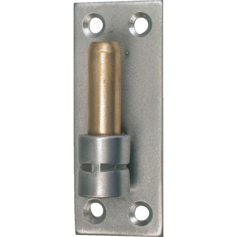 Scharnier aus gebürstetem Edelstahl an einer Platte, 14 mm Durchmesser x 100 mm Höhe AFBAT (1/3)