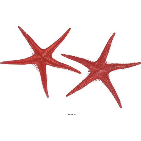 Etoile de mer artificielle rouge X 2 en Plastique soufflé D 250 mm (1/3)