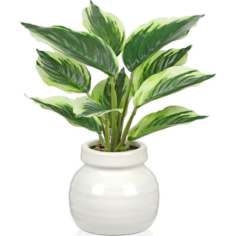 Dieffenbachie - Plantes artificielles en pot en céramique - 28 cm - Plantes vertes artificielles - Plantes artificielles comme de véritables plantes décoratives pour table, étagère, salon (1/5)