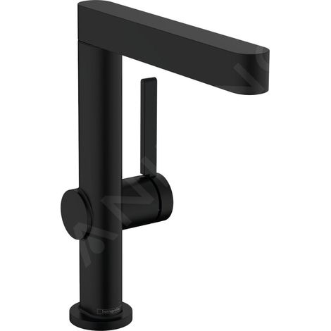EH-WT-MI FINORIS 230 avec bec pivotant noir mat (1/5)