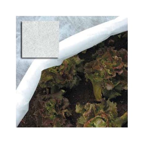 Rete per Ortaggi in Telo in Fibra Ppl 2x10 mt colore Bianco Papillon (1/3)