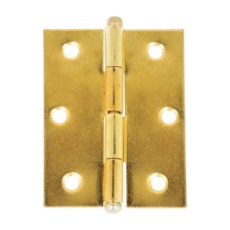 CERNIERE CON SPINA A LEVARE IN FERRO OTTONATO 40X50 MM. 2 PZ.