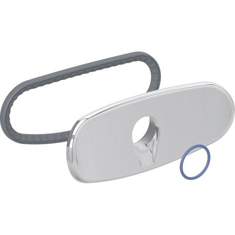 Geberit 250095211 Plaque avec jeu de joints (1/2)