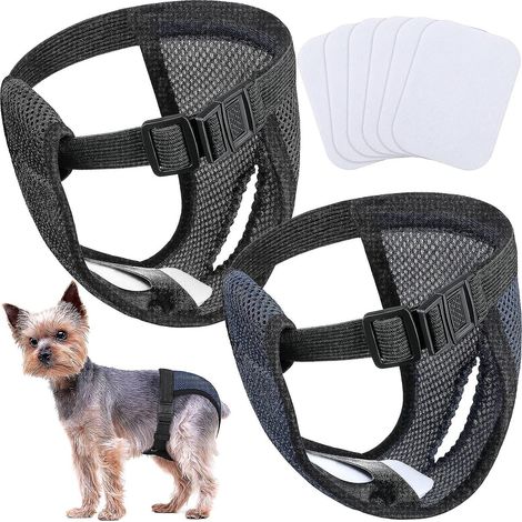 Couches lavables noires et bleues pour chiennes avec 6 protections hygiéniques (1/5)