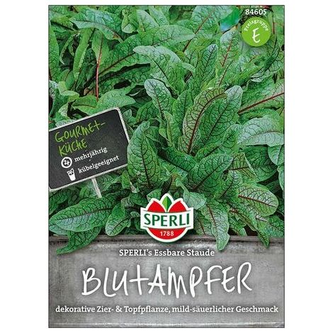 Blutampfer SPERLI's Essbare Staude - Gemüsesamen (1/4)