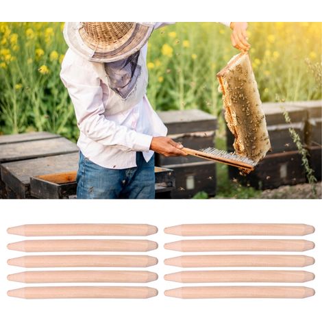 Lot de 10 bâtonnets d'élevage de reines à double tête, outil apicole (1/5)