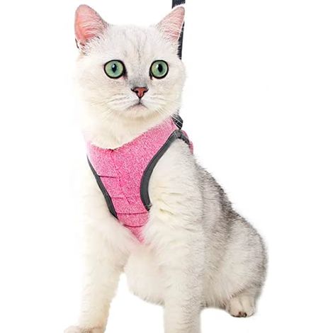 Harnais pour chats ultra léger et confortables, avec laisse (L, Rose) (1/5)