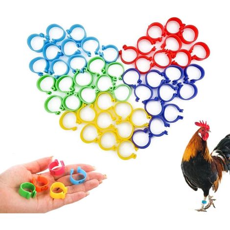 Anillos de identificación para aves de corral, plástico resistente, 100 unidades de 20 mm (multicolor) (1/5)