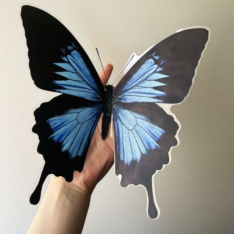 2X Autocollant Sticker Voiture Moto Deco Papillon Bleu Noir frigo (1/5)