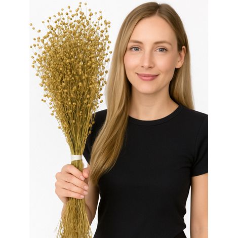 JR FARM Flachs in Ähren zum Knabbern für alle Papageien 30g (1/3)