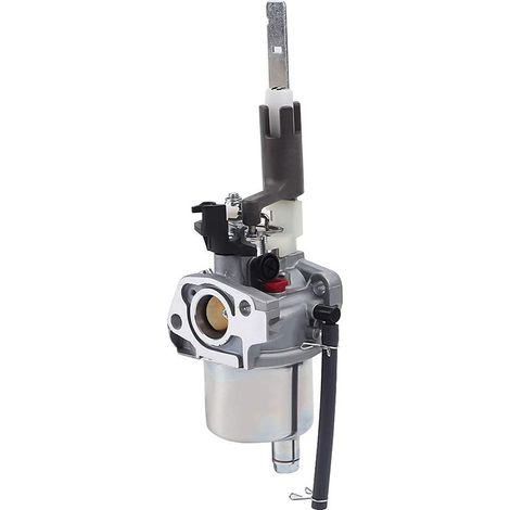 Carburateur 20001171 pour chasse neige ST224 – Moteur LCT 254cc – Pièce détachée essentielle pour entretien saisonnier réussi