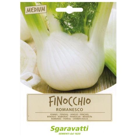 SEMI PER ORTAGGI E VEGETALI finocchio romanesco