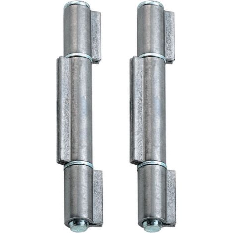 charniA re pour fer avec 3 cm 10 ailes axe amovible deux rondelles galvanisA es fixations