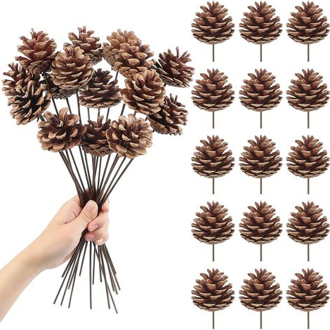 15 Pommes de Pin sur Tige - 30 cm - Naturelles et Artisanale - Tiges Pliables pour Déco - Noël Mariage Automne - Marron (1/5)
