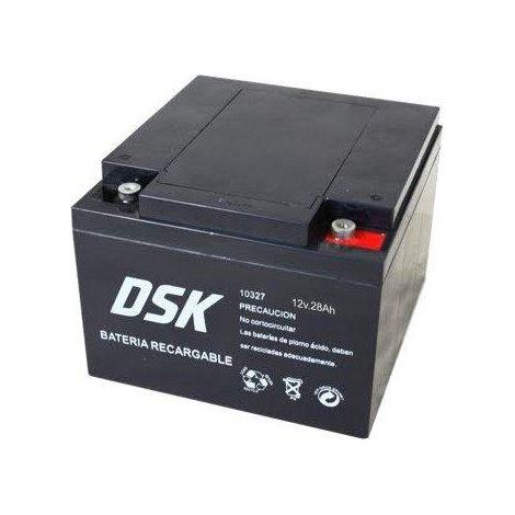 DSK Batterie AGM plomb-acide rechargeable 12V 28Ah noir